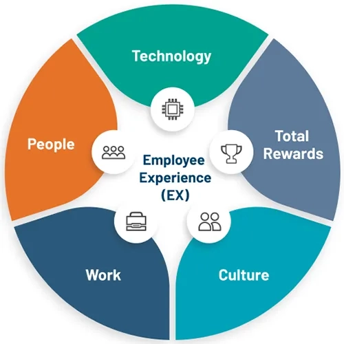 Employee experience
