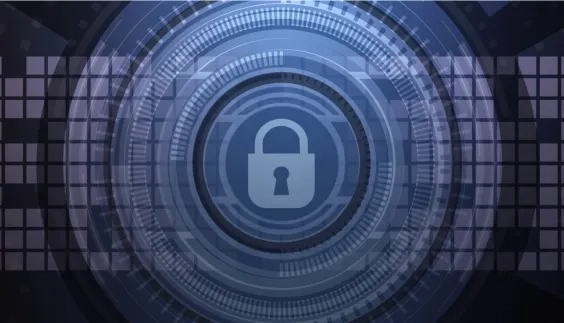 Cookie dal Garante Privacy nuove linee guida a tutela degli utenti