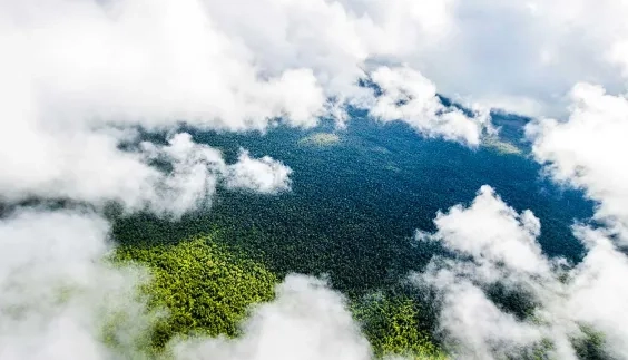 Control Cloud to Manage Security and Risk
