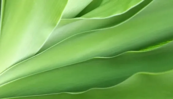 How A Technology-Ready Workforce Can Accelerate Business Transformation