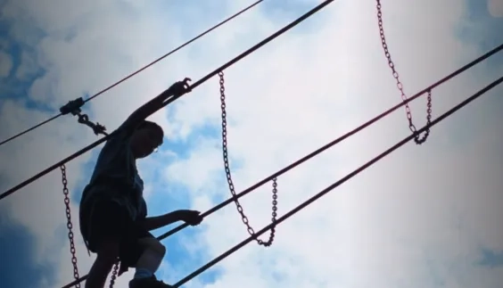What Do Thriving Organisations Have in Common? Business Agility