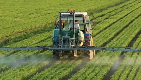 Global Food Co. & Protiviti: SOX COE Success
