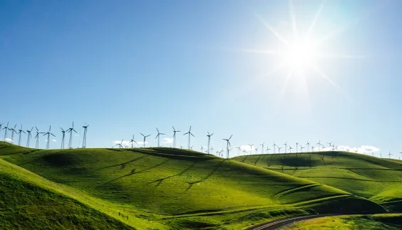 Tech-Led Internal Audits for a Renewable Energy Firm