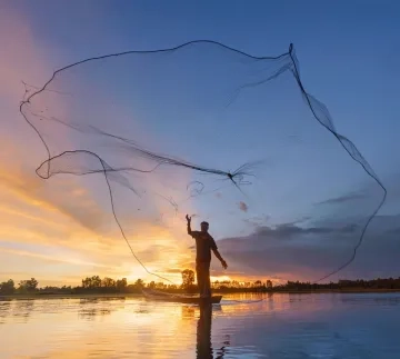 Diving into SAP S/4HANA