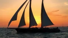 Video - Protiviti Financial Due Diligence Services